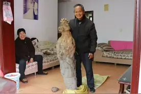老人挖到进百斤“亚洲人参”没见过这么大的野生葛根图片