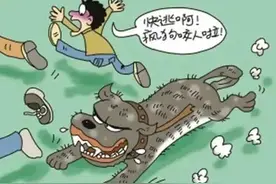 梦见被狗咬，有哪些说法和寓意？图片
