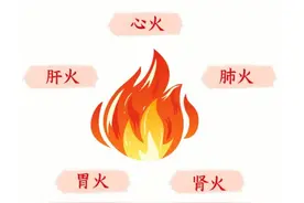 五脏皆会上火，心火、肝火、胃火、肺火、肾火，5个药灭五脏之火图片