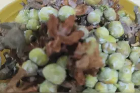 白发过多，自己动手做柏壳枕图片