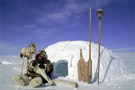 零下50℃！因纽特人住冰屋为何不冷？生火雪不会化吗，咋上厕所？图片