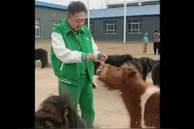 郭德纲：从相声大师到全国马王！太苍老像80岁，真相惊呆众人图片