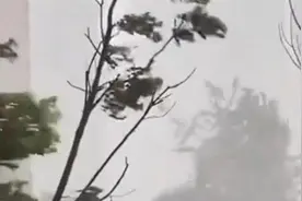 早报推荐丨人工增雨用力过猛成了“人工降灾”？别错怪了气象部门图片