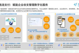 连连支付厚植企业数字化应用 入选《中国第三方支付市场专题分析2024》典型案例图片