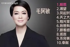 【美·听】毛阿敏十首推荐歌曲：《相思》《渴望》《天之大》图片