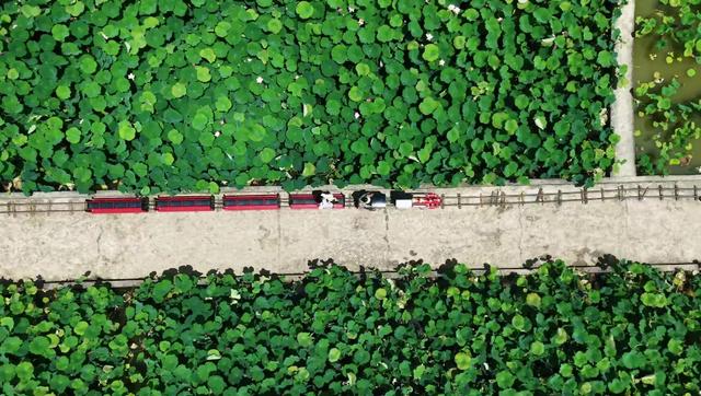 贵州梵净山脚下的避暑秘境，一站式体验荷海、竹海、溶洞、漂流