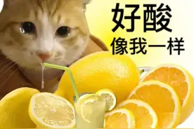 成都某设计院年薪40万！你发现风口了吗？图片