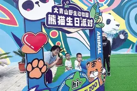 开启游客投喂体验环节、增设小火车巡游项目……大青山野生动物园上新啦图片