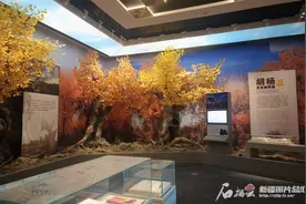 别错过！新疆赏金秋胡杨游产品上新图片