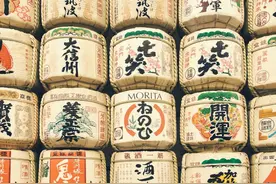 说出这个句式，你就是懂清酒的！（有心思但无大用知识系列）图片