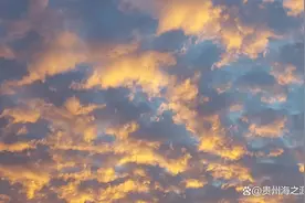 我们怎么处理我们的羞耻？图片
