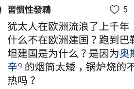 这样提纳粹对犹太人的大屠杀很恰当。图片