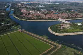【这一年】产业振兴再出发 乡村焕发新生机图片