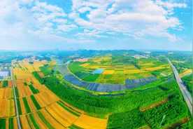 乡村振兴齐鲁样板，青岛改革先行图片