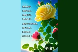 早上好！最新的温馨朋友圈问候语和最美的早上好表情动态图片图片