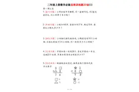二年级数学思维能力专项提升训练，锻炼逻辑思维，提升数学成绩图片