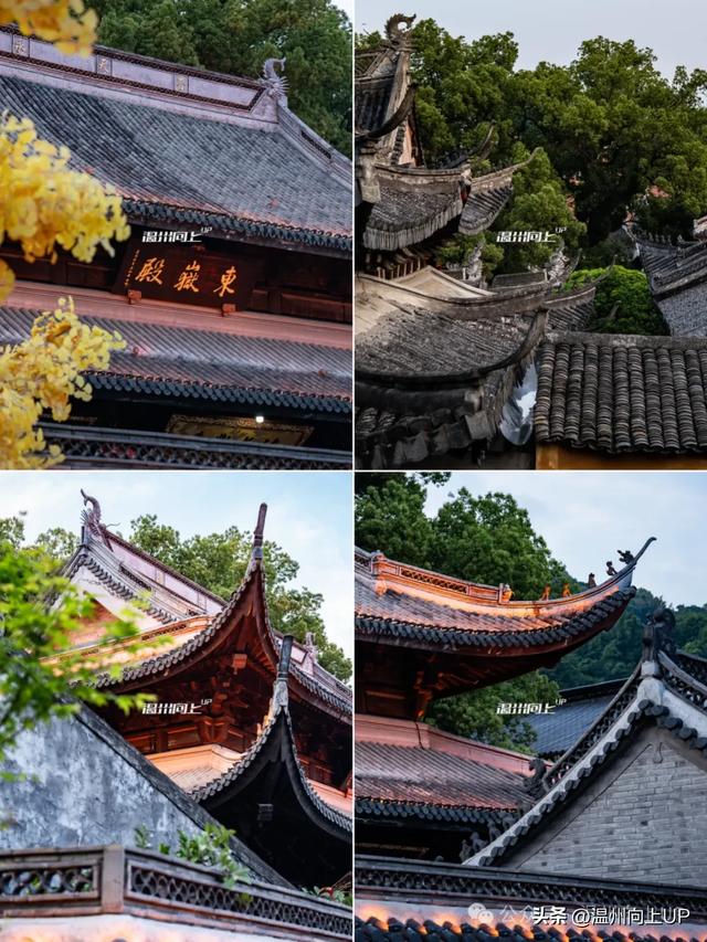 这条老街，我把它评为温州历史街区的“天花板”