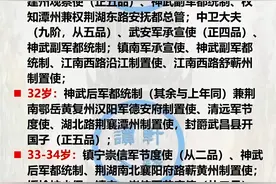 岳飞的官职有多高图片