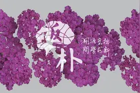 AlphaFold为什么能精准预测蛋白质结构？图片