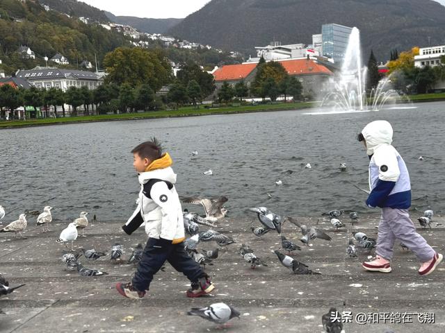 他乡非皆胜故乡，旅游本是心远行