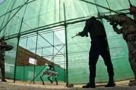 又火了！国产机器狗，背上了枪冲锋！图片