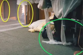 偷窥视角？幼态审美？社媒韩国ILLIT新人女团MV引争议图片