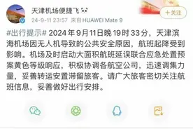 天降“黑飞”，天津机场航班遭劫！无人机危害究竟有多大？图片