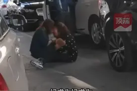 未拴绳的狗被车压死 主人扇脸大哭 零度观点：血的教训 追悔莫及图片