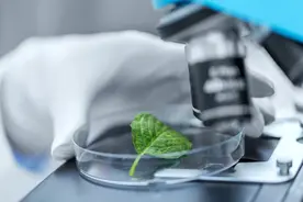 好消息! 每三年查一次HPV 在家就能搞定! 防癌必知!图片