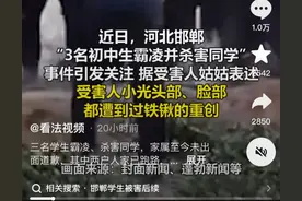 被害男孩后续，同学曝光男孩被欺负惊人细节，嫌疑人都是留守儿童图片