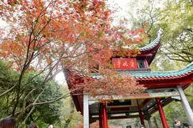 岳麓山游记图片