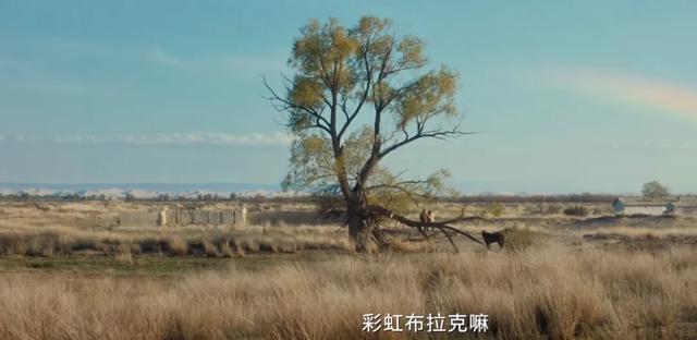 给近三年最好的10部国产剧排个名：《狂飙》仅第8，第1名没有争议