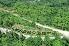 湖北荆州：“孟嘉落帽”典故发生在八岭山图片