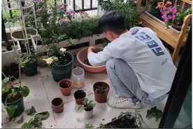 越是养花达人，越没有这4个“坏习惯”，快看看你占了几个？图片