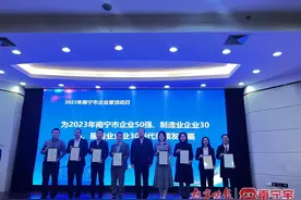 2023年南宁市企业50强名单出炉！图片