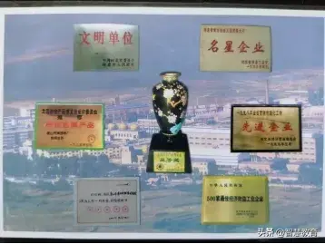 从栗乡山谷走向世界舞台——津西40年品牌战略的深耕之路