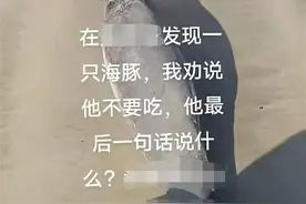 海豚搁浅惠州双月湾沙滩，重庆游客好奇意图拖走！当地：已无公害处理，律师：江豚即便死亡也属于国家所有图片