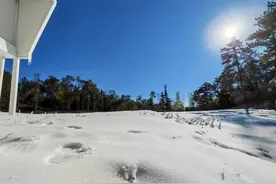 速冻模式启动，来四海山看雪呀！图片