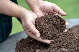 发酵肥料要学会方法，我每年这样发酵，一点不臭肥效还杠杠的图片