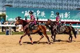 让我们共赴赛汗塔拉城中草原一起感受百岔“铁蹄”马千里追风过！图片
