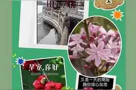 胡大一：心肌梗死后不要只注重保护血管而忽略了保护心脏（上）图片