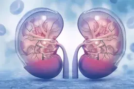 给用脑过度的人一碗状元汤，提升记忆力图片
