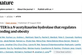 这种物质不仅抗疲劳，还能抗衰老和减肥，食物和运动都能补充图片