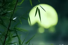 命里的一切，都是注定的！（不信你看）图片