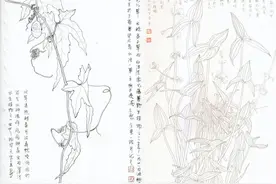 从一道加减法，看白洋淀之变图片