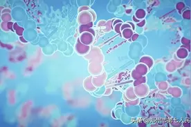 C-反应蛋白能反应啥？一文带你读懂！图片