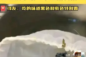 “五色糯米饭不是科技与狠活”上热搜，网友：表那么多色素能吃吗图片