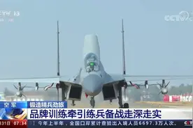 中国空军战机大换血，歼16要全面取代歼11吗？图片