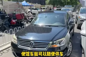 后续！违停使馆车上的大妈身份曝光，处理结果已公布，狗也违法了图片