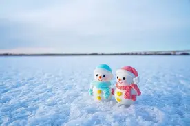 这些有关冬天的成语，背后竟都藏着诗词？图片